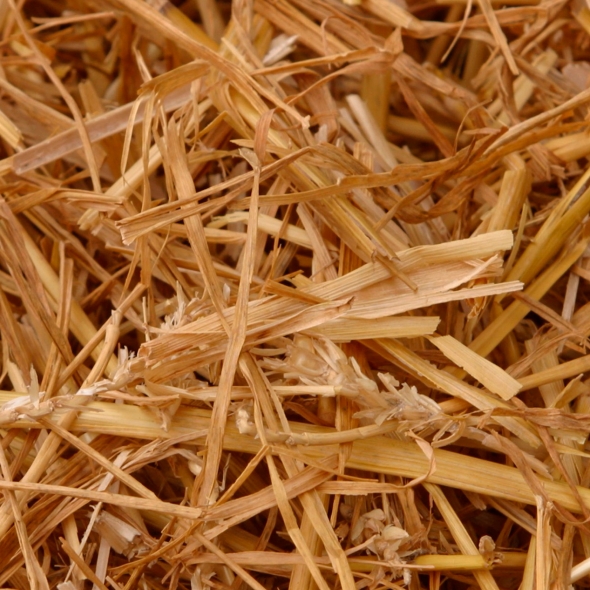 photograph of straw